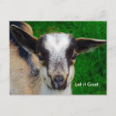 Search for nanny postcards Goat