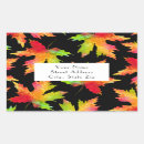 Search for orange background stickers Green