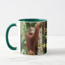 Search for foundation mugs Conservation