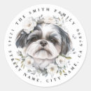 Search for cute shih tzu stickers Fun