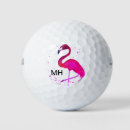 Search for flamingo golf equipment Fun