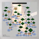 Search for grammar posters Linguistics