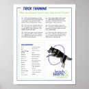 Search for tricks posters Dog