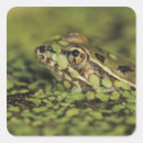 Search for rio grande stickers Nature