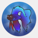 Search for betta stickers Pet