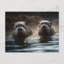 Search for river otters postcards Happy