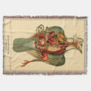 Search for pigeon blankets Illustration