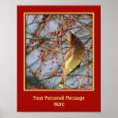 Search for waxwing posters Nature