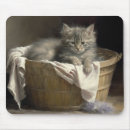 Search for laundry mouse mats Cute