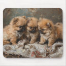 Search for pomeranian mouse mats Cute