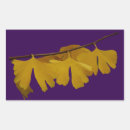 Search for ginkgo tree stickers Biloba