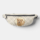 Search for norfolk accessories Dog