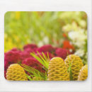 Search for friday mouse mats Orange