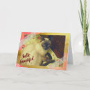 Search for collage cats cards Feline