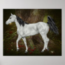 Search for arabians posters Arabian horses
