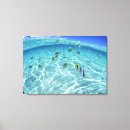Search for seafood canvas prints Horizontal