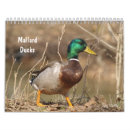 Search for hunt office supplies Photography