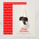 Search for doxie christmas cards Daschund