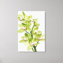 Search for orchid canvas prints Photography