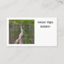 Search for bonsai tree business cards Plant