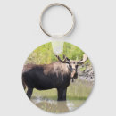 Search for moose antlers key rings Animal