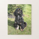 Search for spaniel puzzles Brown
