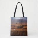 Search for insight bags Mars
