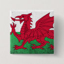 Search for wales square badges Great britain