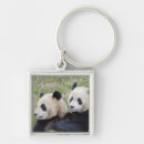 Search for china panda key rings Endangered
