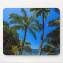 Search for shoemaking mouse mats Superstock
