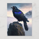 Search for ravens postcards Animals