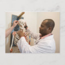Search for doctorate postcards Education