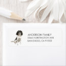 Search for springer spaniel return address labels Dog