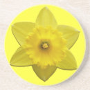 Search for easter coasters Classic