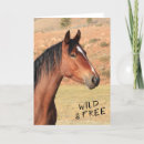 Search for mustang cards Wildlife