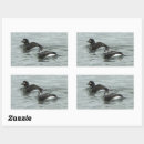 Search for birdwatcher stickers Photography