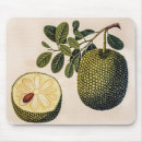 Search for the vegan mouse mats Nature