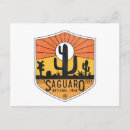 Search for saguaro cactus postcards Tucson