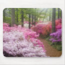 Search for azalea mouse mats Garden