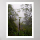 Search for mystical posters Photography