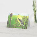 Search for finches cards Wildlife