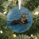 Search for pup christmas tree decorations Animals in the wild
