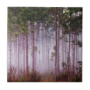 Search for everglades home decor Nature