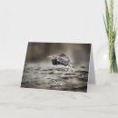Search for great blue heron cards Nature