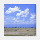 Search for plains magnets Horizontal