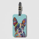 Search for boston terrier accessories Dog