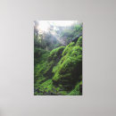 Search for moss canvas prints Nature