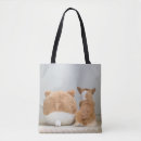 Search for plush bags Cute