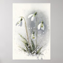 Search for snowdrop art White flowers