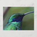 Search for hum postcards Nature